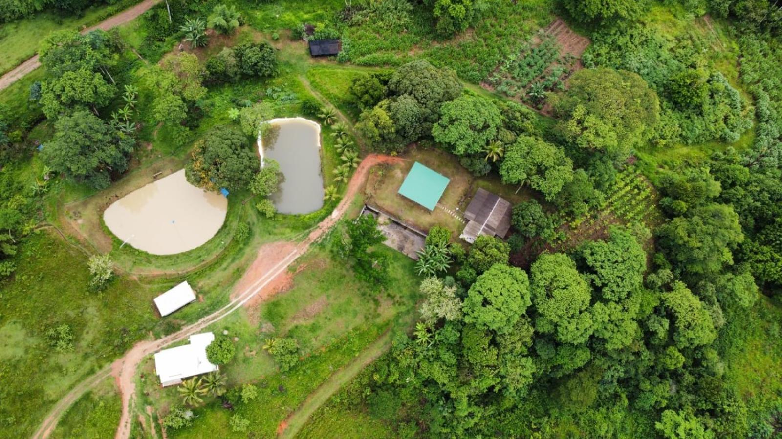Loft Com Piscina Natural Em Cachoeiras de Macacu